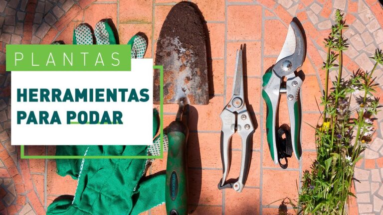 Herramientas Esenciales para la Poda de Árboles Frutales
